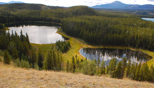 Whitehorse lakes